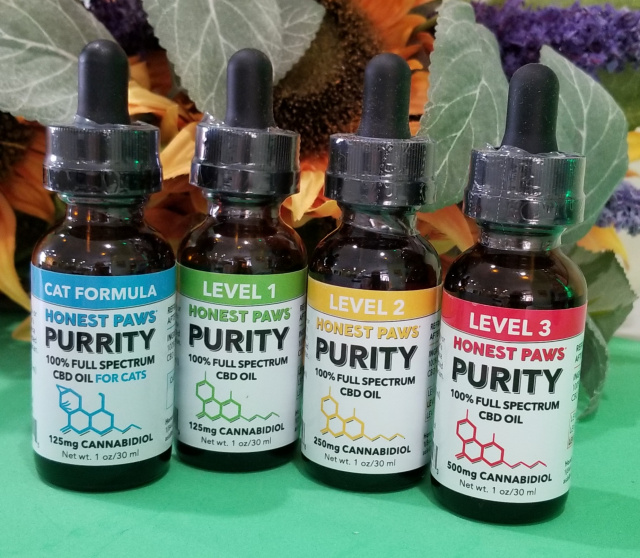 CBD Oil for Dogs
